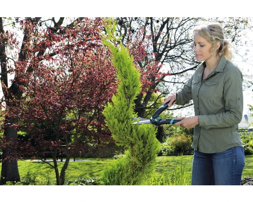 GARDENA Precisioncut Buxusschaar 6 GARDENA Precisioncut Buxusschaar - Afbeelding 4