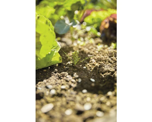 GARDENA Combisysteem Cultivator En Hark 4 GARDENA Combisysteem Cultivator En Hark - Afbeelding 2