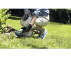 BOSCH Accu Gras- Buxusschaar Incl. Accu En Lader -hyundai winkel DV 8 10510622 01 4c DE 20211129181659