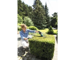 BOSCH Accu Gras- Buxusschaar Incl. Accu En Lader -hyundai winkel DV 8 10510622 02 4c DE 20211129181659