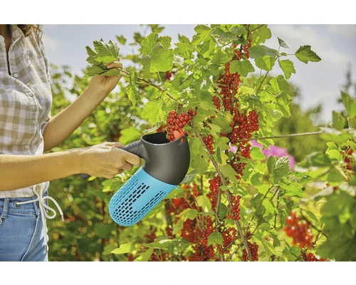 GARDENA Combisysteem Berrypicker 5 GARDENA Combisysteem Berrypicker - Afbeelding 3