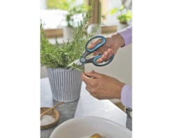 GARDENA Handschaar Herbcut RVS 22 GARDENA Handschaar Herbcut RVS -hyundai winkel DV 8 10602964 03 4c DE 20230109094757