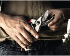 FELCO Snoeischaar Type 2 -hyundai winkel DV 8 1610157 01 4c DE 20201022101756