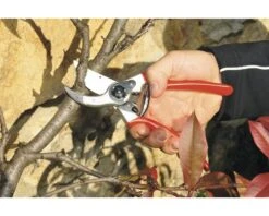 FELCO Snoeischaar Type 2 -hyundai winkel DV 8 1610157 05 4c DE 20201022151655