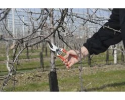 FELCO Snoeischaar Type 2 -hyundai winkel DV 8 1610157 06 4c DE 20201022151655