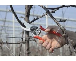 FELCO Snoeischaar Type 2 -hyundai winkel DV 8 1610157 07 4c DE 20201022151655