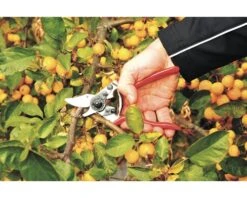 FELCO Snoeischaar Type 6 -hyundai winkel DV 8 1610577 06 4c DE 20201126104750