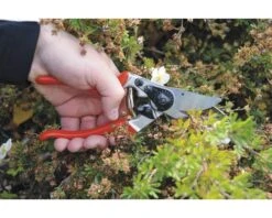 FELCO Snoeischaar Type 9 -hyundai winkel DV 8 1610884 04 4c DE 20201126111651