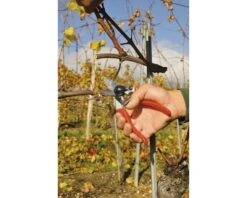 FELCO Snoeischaar 8T 21 FELCO Snoeischaar 8T -hyundai winkel DV 8 2906961 04 4c DE 20201126111651