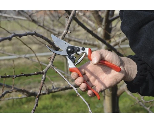 FELCO Snoeischaar 8T 12 FELCO Snoeischaar 8T - Afbeelding 10