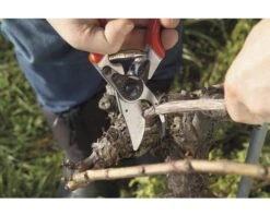 FELCO Snoeischaar 8T 23 FELCO Snoeischaar 8T -hyundai winkel DV 8 2906961 06 4c DE 20201126111651