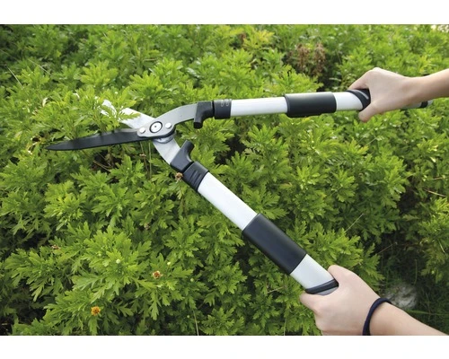 FOR_Q Heggenschaar, Telescoop 8 FOR_Q Heggenschaar, Telescoop - Afbeelding 6