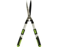 FOR_Q Heggenschaar, Telescoop