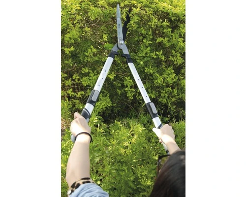 FOR_Q Heggenschaar, Telescoop 9 FOR_Q Heggenschaar, Telescoop - Afbeelding 7
