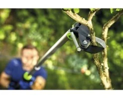 FOR_Q Hoogsnoeier, Bypass Schaar -hyundai winkel DV 8 5905355 05 4c DE 20181107111652