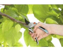 GARDENA Comfort Snoeischaar Luxe -hyundai winkel DV 8 6274110 08 4c DE 20230510051753