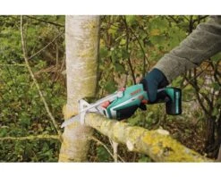 BOSCH Accu Tuinzaag Keo -hyundai winkel DV 8 8294204 07 4c DE 20150820221858