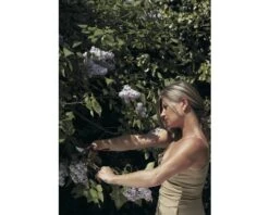 FELCO Snoeischaar Type 160L -hyundai winkel DV 8 8669075 02 4c AT 20201126111651