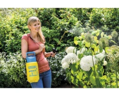 GLORIA Drukspuit Prima 3 Liter 9 GLORIA Drukspuit Prima 3 Liter -hyundai winkel DV 8 8713666 02 4c DE 20210902111755