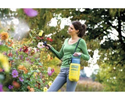 GLORIA Drukspuit Prima 3 Liter 10 GLORIA Drukspuit Prima 3 Liter -hyundai winkel DV 8 8713666 03 4c DE 20210902111755